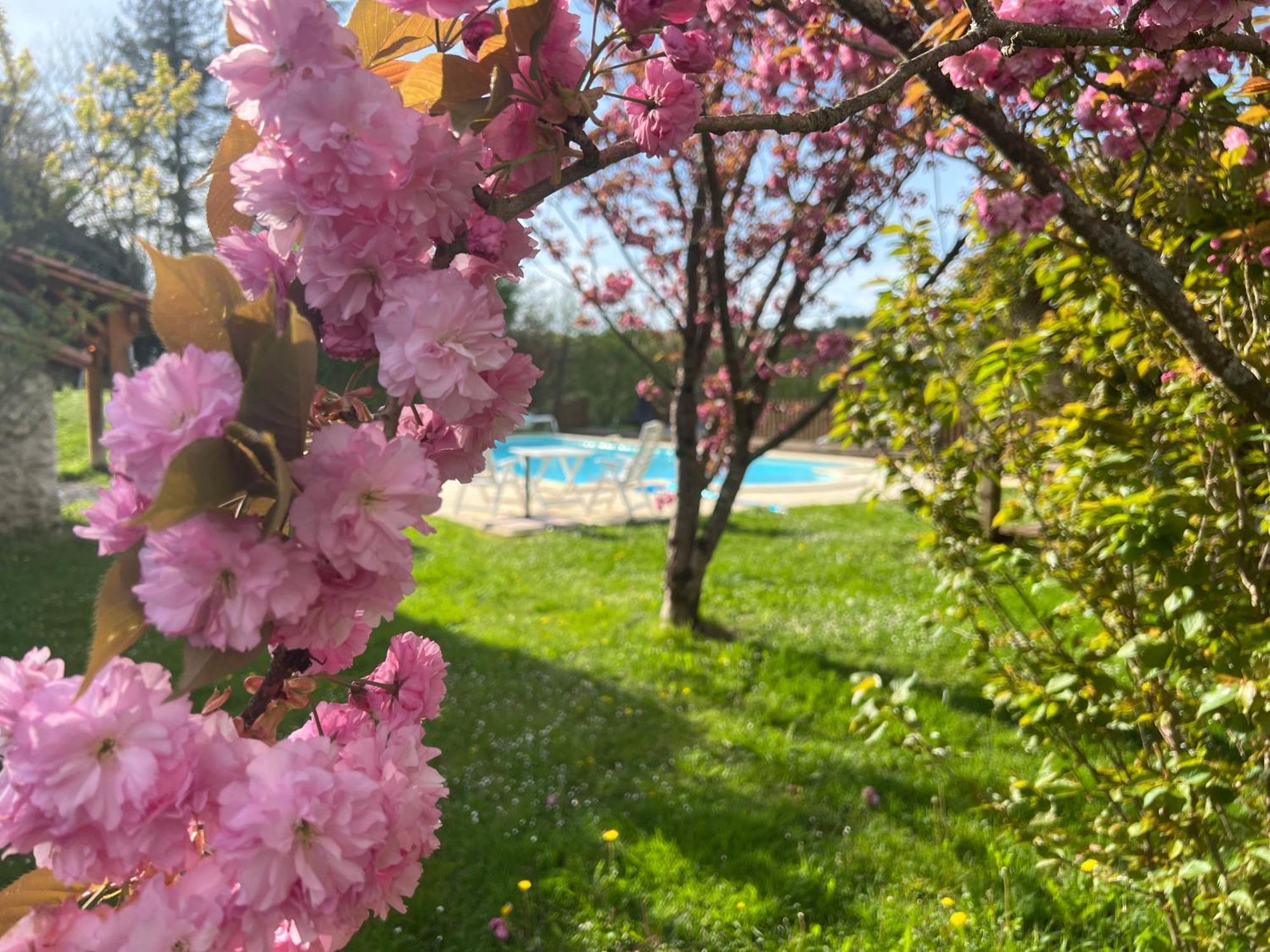 Entire Apartment With Swimming Pool Near Aubeterre Saint-Romain  Esterno foto
